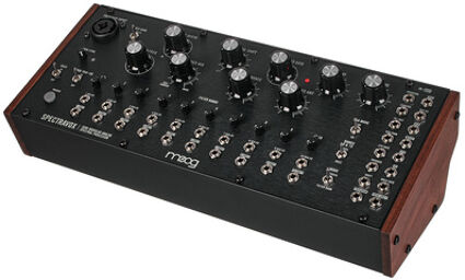 Moog Spectravox B-Stock