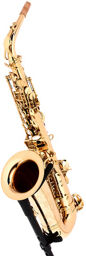 ASBGM Custom Line Alto Sax