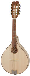 Artist Mandolin MPL
