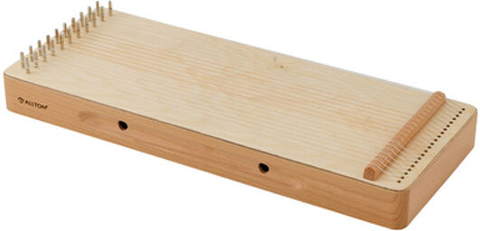 Treatment Monochord