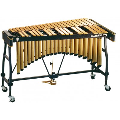 M55GWT PRO-vibe Gold