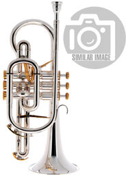 BE2028-2 Prestige Bb-Cornet