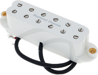 SJBJ-1b - JB Parchment Parchemin