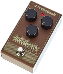 Echobrain Analog Delay