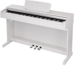 YDP-145 WH Arius Blanc
