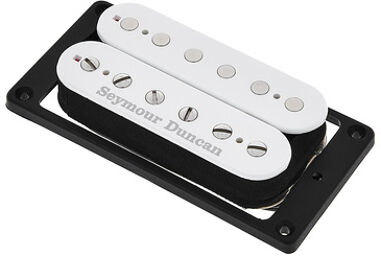 Alex Skolnick Bridge White Blanc