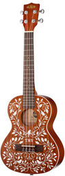 Tenor Ukulele Starter Kit