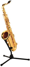 TTS-350 Tenor Sax