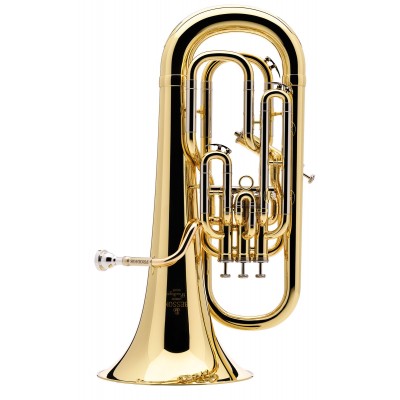 Prodige Sib Verni - BE165-1-0