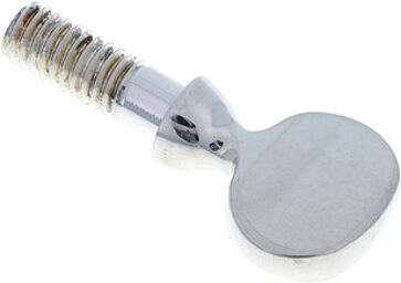 S- Neck Screw Silver plated
