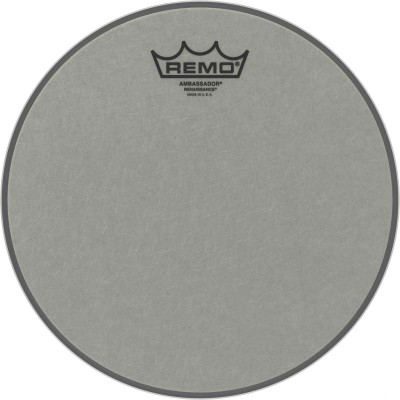 RA-0010-ss Renaissance Ambassador 10
