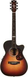 EBG808 C TE Sunburst Sunburst matt