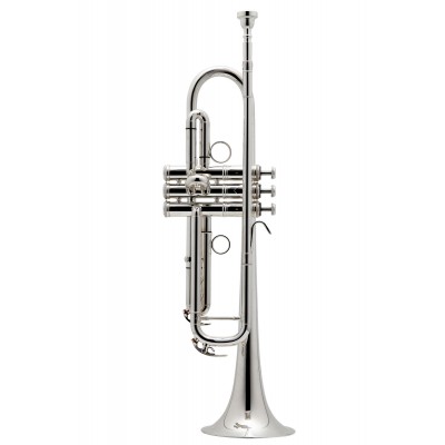 New Standard Sib Argentée - BE111-2-0