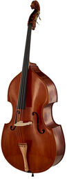 Double Bass Gamba IB