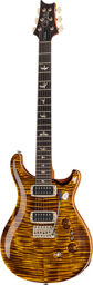 Custom 24/08 BW Black Gold Burst