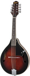 M510-DVS Dark Violin Sunburst