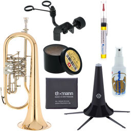 3017/2TR-L Bb Flugelhorn Set Noir