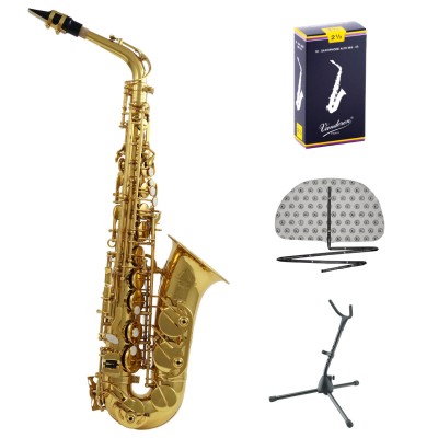 Pack WSA300 - Alto Mi b Verni