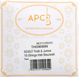 10-String Irish Bouzouki Set