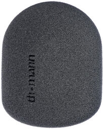 WS Rode Interview GO noir