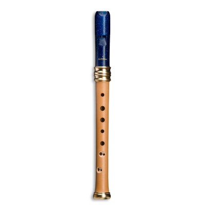 Reve D'adri Soprano 1119B - Poirier et Plastique (doigté Baroque)