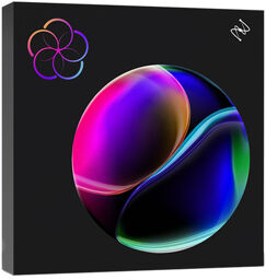 Everything Bundle