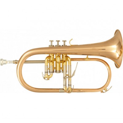 BU600 - Sib Verni