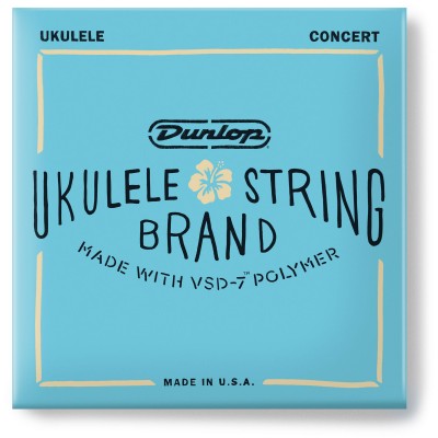 Cordes Folk Ukulélé Jeux Ukulélé Concert