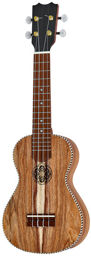 Artist Soprano Ukulele ACA