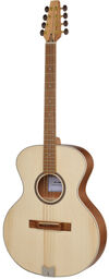 Bouzouki-Guitar Standard