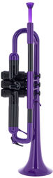 pTrumpet Violet Violet