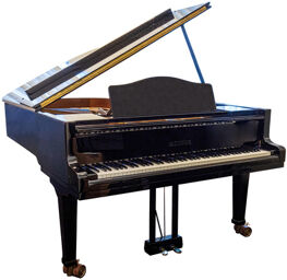 Model 6