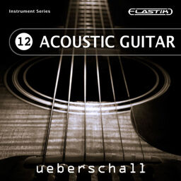 Acoustic Guitar