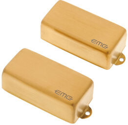 Les Claypool LC Brushed Gold
