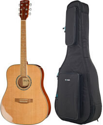 D-120NT w/Bag Naturel haute brillance