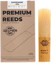 Premium Alto Saxophone 2.0