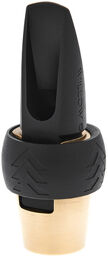 Willow Single Set Alto Sax 6