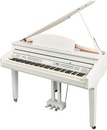 DP-275 GP WHP Blanc poli