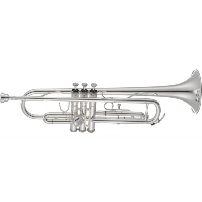 JTR700RSQ - Sib Argentée