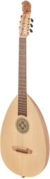 Steel String Lute Guitar