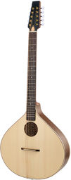 Artist Irish Bouzouki 10S-PU