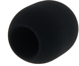 WS2 black