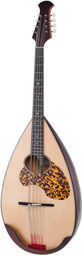 Mandoloncello MC-1 RG
