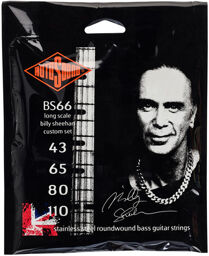 BS66 Billy Sheehan