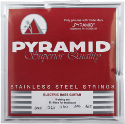 Multiscale 5 string Bass Set