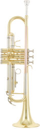 TR 200 Bb-Trumpet