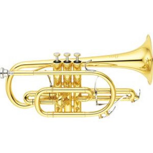 Cornet Prof. - Cornet Neo / Perce L