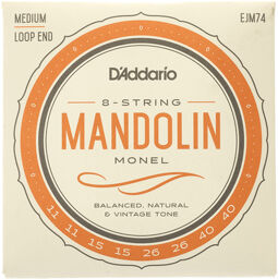 EJM74 Mandolin Set