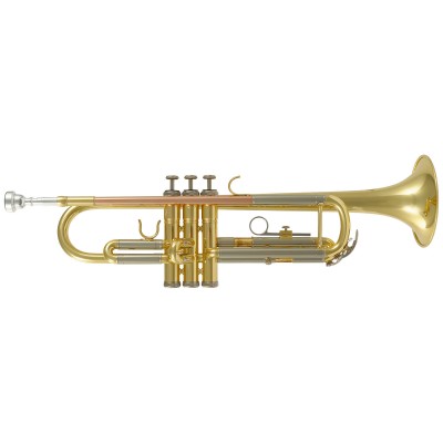 WTP200 - Si B Verni