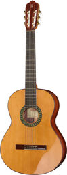 5P LH incl.Gig Bag Naturel